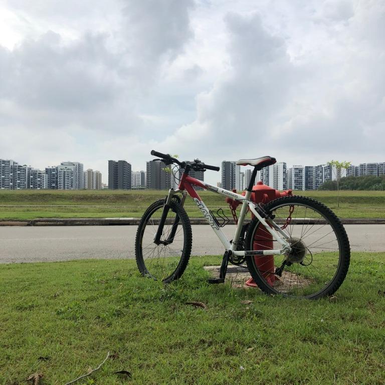 giant iguana disc 2008