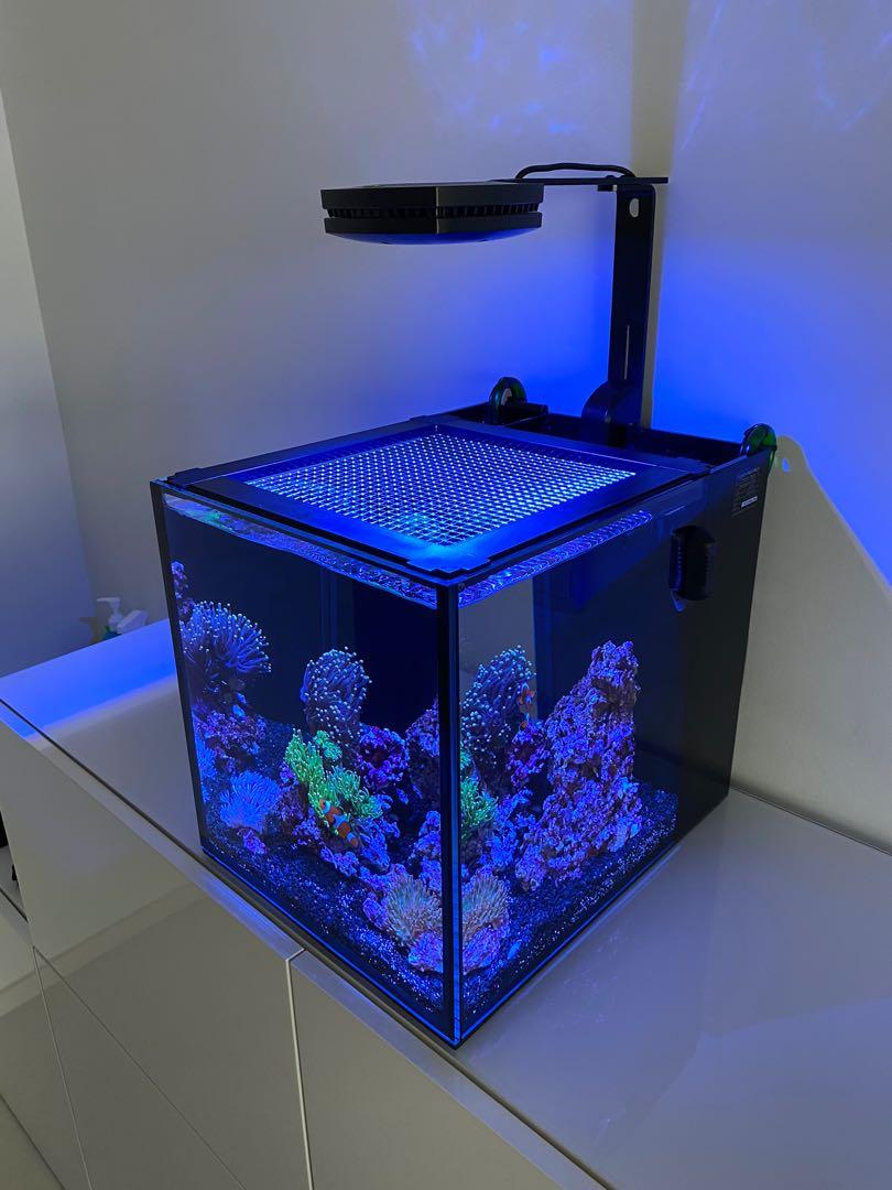 innovative marine sump