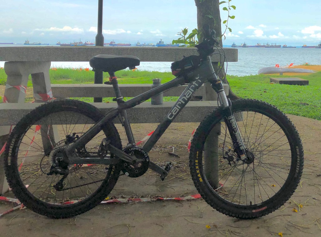 Iron horse hardtail 2025