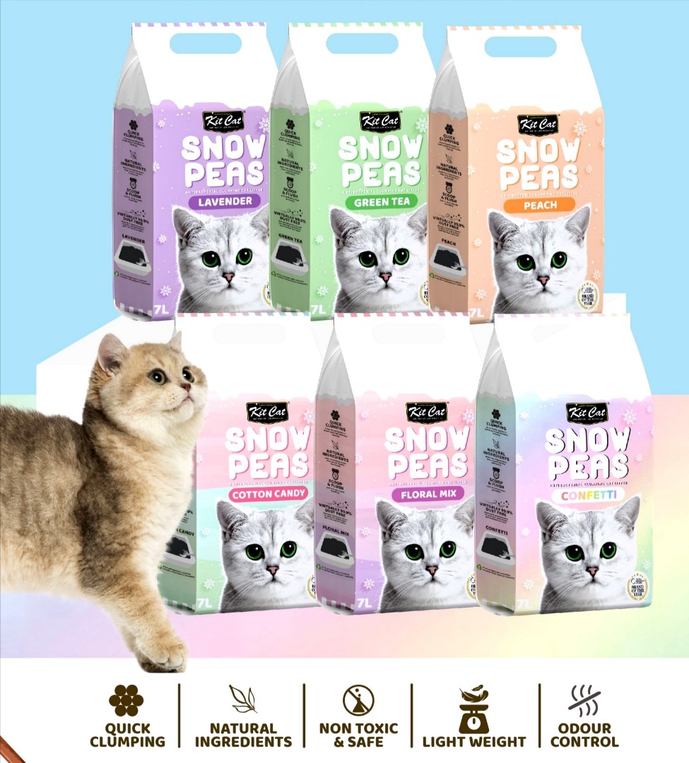 6 X Kit Cat Snow Pea Clumping Cat Litter Pet Supplies Homes Other Pet Accessories On Carousell