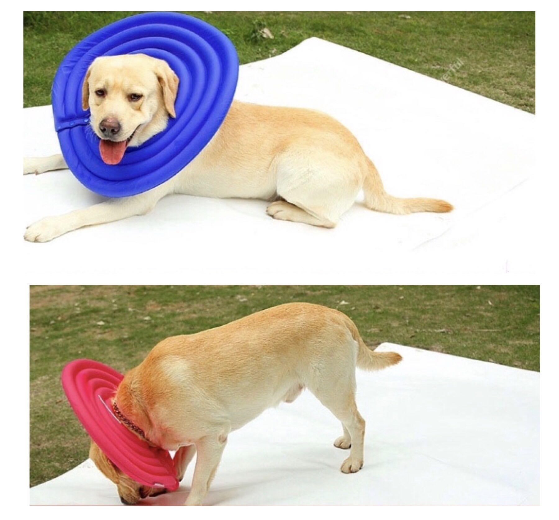 E collars for large dogs clearance