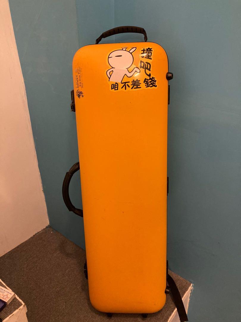 Lion violin shop case