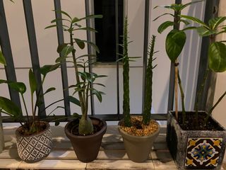 (Category: ) located in . Submitted by chosokab (Listing ID 1029810674, Image 1). Description: .