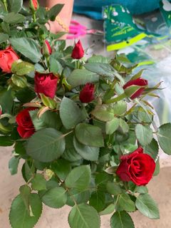 (Category: ) located in . Submitted by vijaya30 (Listing ID 1029711546, Image 1). Description: .