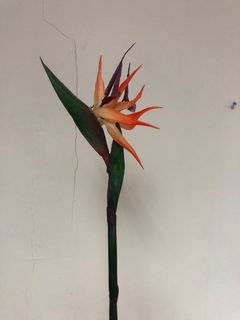 （分類：）位於 。 由 j2526 提交（商品編號 1029757003，圖片 1）。簡介： 。