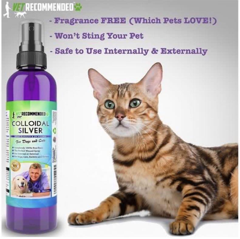 Vet Recommended Colloidal Silver x 120ml For cats dogs Pet