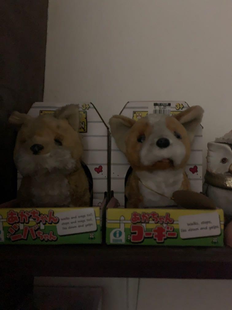 shiba inu talking to toy