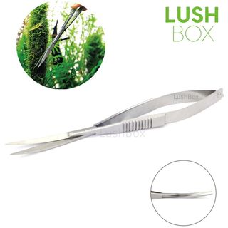 (Category: ) located in . Submitted by lushbox (Listing ID 1029815895, Image 1). Description: .