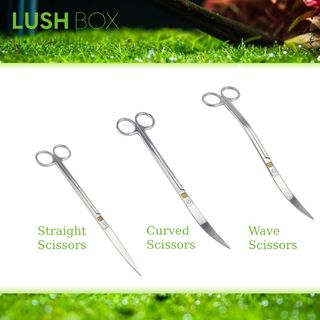 (Category: ) located in . Submitted by lushbox (Listing ID 1029848769, Image 1). Description: .