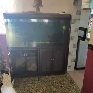 (Category: ) located in . Submitted by barangbaik90 (Listing ID 1029965379, Image 1). Description: .