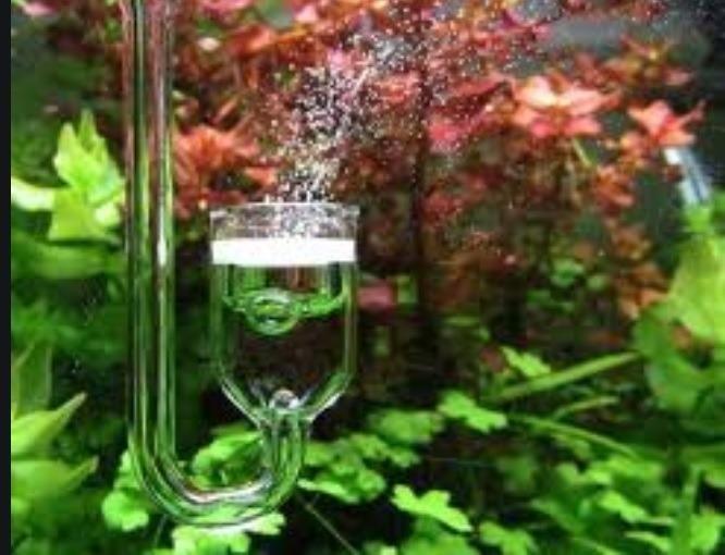 全新現貨養魚金魚水族用品水草魚缸工具配件co2 二氧化碳玻璃細化器u型細化器擴散效率佳最後一粒 寵物用品 寵物家品及其他