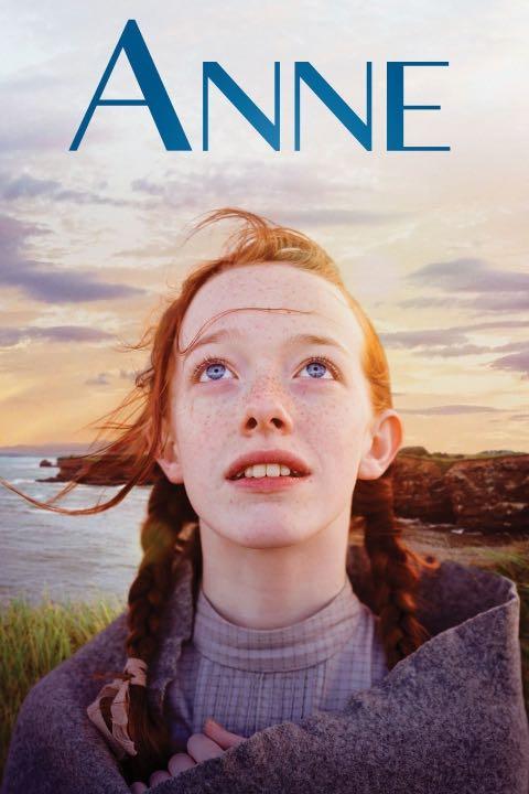 清秀佳人全新原文小說紅髮安妮anne Of Green Gables 英文小說勇敢的安妮novel 圖書 書籍在旋轉拍賣