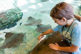 Aquarium du Quebec: Entry Ticket
