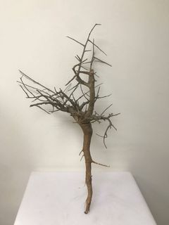 （分類：）位於 。 由 henrychan_llusions 提交（商品編號 1030023081，圖片 1）。簡介： 。