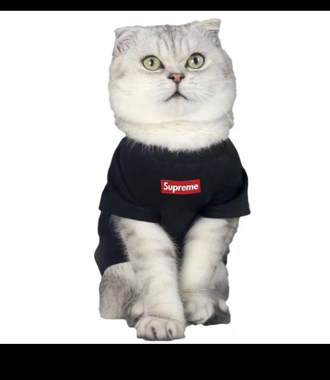 Supreme clearance cat clothes