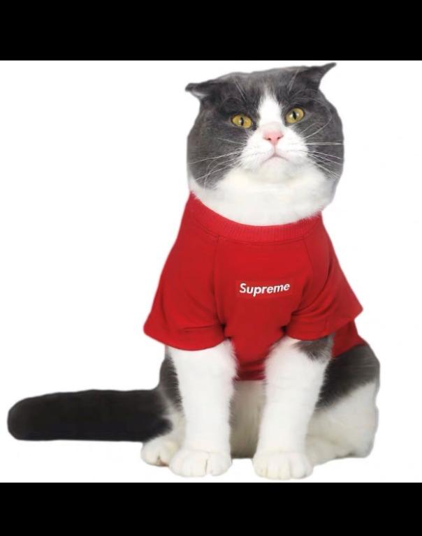 Supreme cat collar on sale