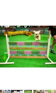 Dog Training - Obedience/Dog Sports/Behaviour Issues Dog Training - Obedience/Dog Sports/Behaviour Issues