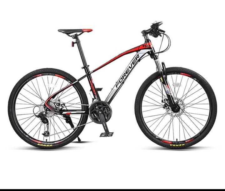 mountain bike forever