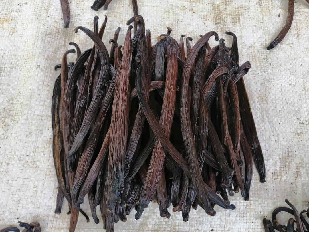 All natural Planifolia Vanilla bean pod, Food & Drinks, Fresh Produce