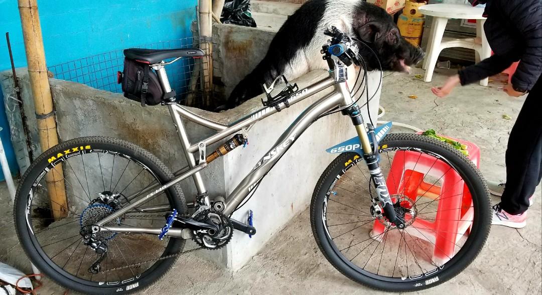 Lynskey Pro 650 Carousell
