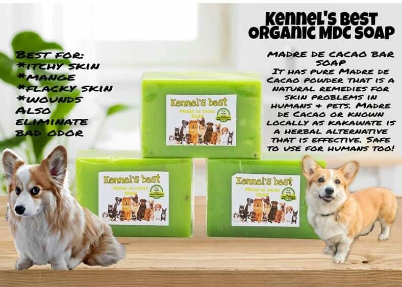 madre de cacao shampoo for humans