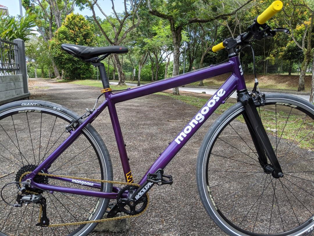 Mongoose store touring bike