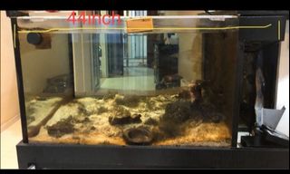 (Category: ) located in . Submitted by mingj83 (Listing ID 1029887605, Image 1). Description: .