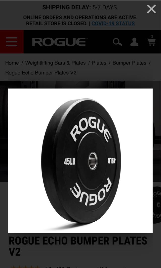 Rogue echo deals v2 bumper