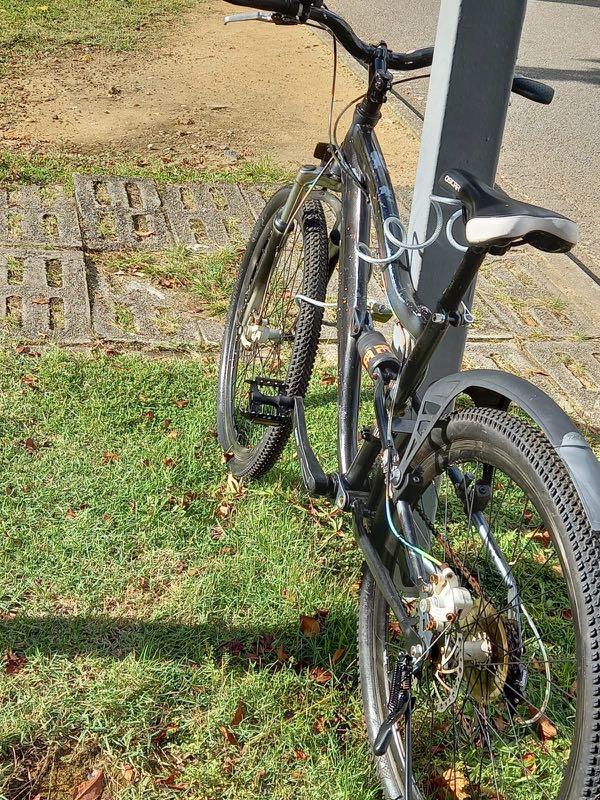 mtb for girls