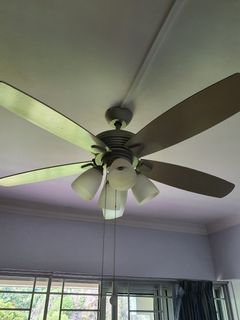 (Category: ) located in . Submitted by spencerwoo (Listing ID 1030122707, Image 1). Description: .
