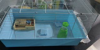 (Category: ) located in . Submitted by jencha (Listing ID 1030334739, Image 1). Description: .