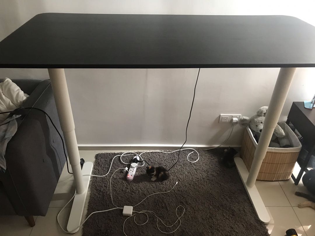 Ikea Bekant Electric Sit Stand Desk Study Table Home Furniture Others On Carousell