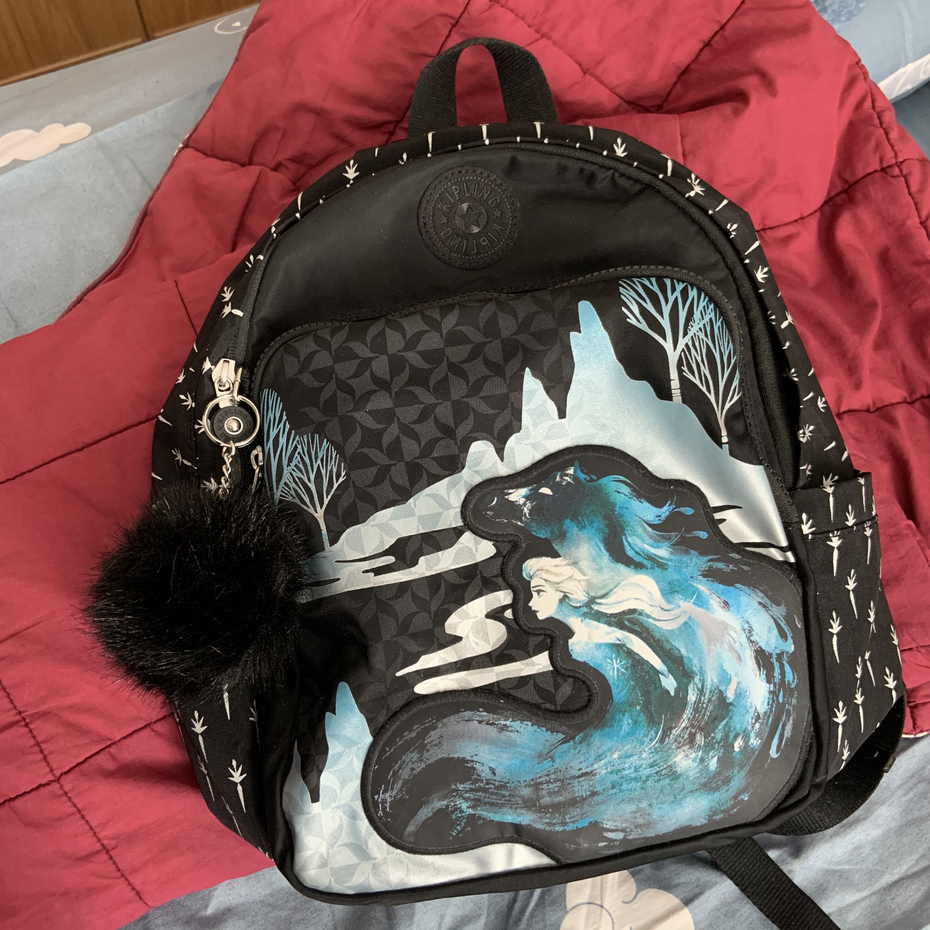 Kipling frozen bag hot sale