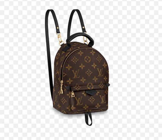 Louis Vuitton Palm Springs Backpack Mini Review with Mod Shots