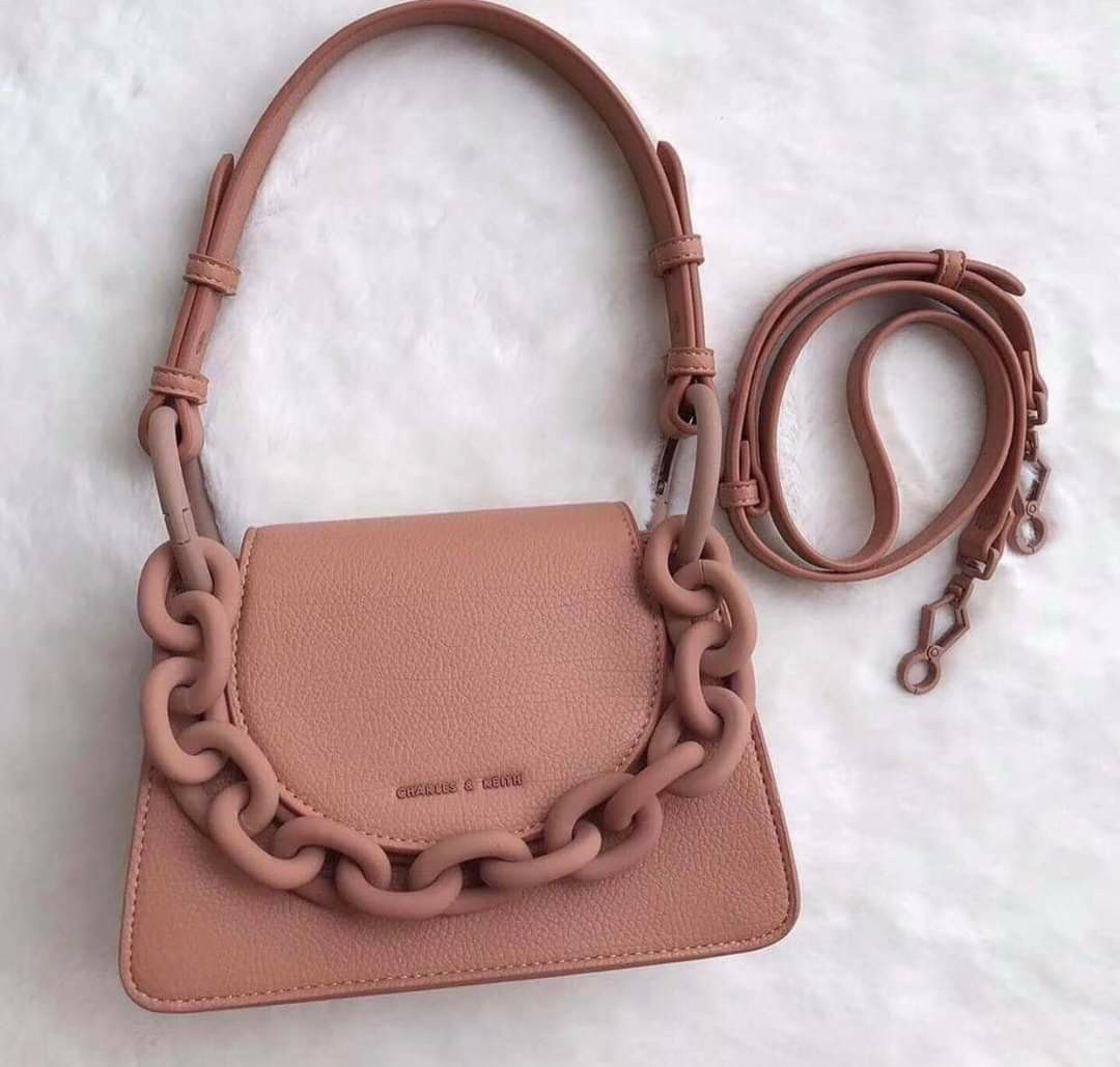 Charles and keith best sale chunky chain bag