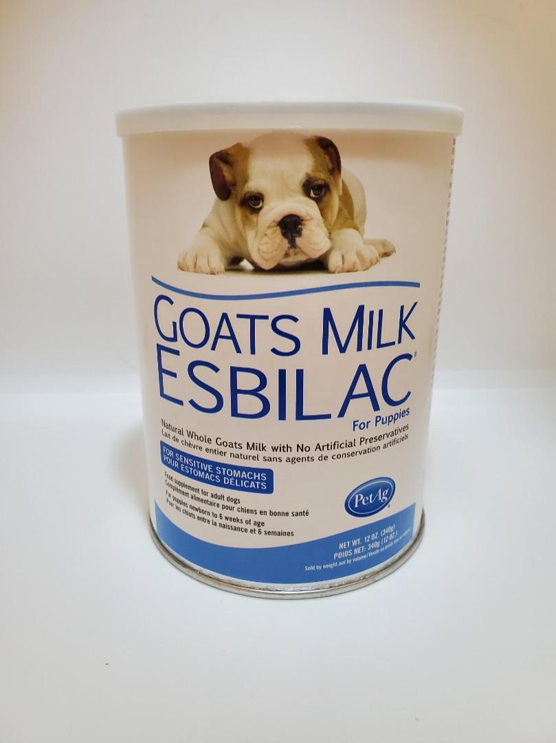 PetAg Esbilac Puppy Milk Replacer 幼犬羊奶粉 340g（01/2022), 寵物用品, 寵物食品