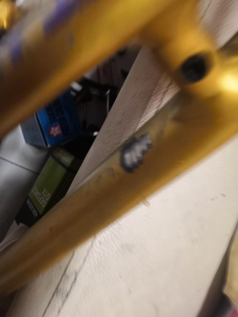 throne frameset, Sports Equipment, Bicycles & Parts, Bicycles on Carousell