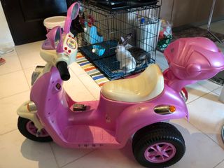 (Category: ) located in . Submitted by eresta (Listing ID 1030398191, Image 1). Description: .