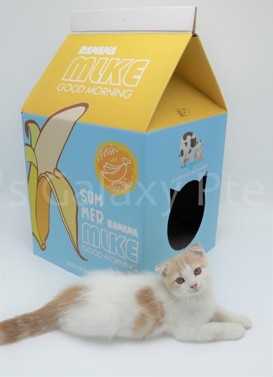 Assorted Cat hideout + scratch board (Category: Homes & Other Pet Accessories) located in Singapore. Submitted by petsgalaxysg (Listing ID 1030401561, Image 3). Description: Assorted Cat hideout with scratch board! 33cm x 33cm x 63cm - Cat House - Banana - Strawberry - Watermelon Want to view before purchasing? Follow us on fb - @petsgalaxysg 🐱🐶🐱🐶🐱🐶 🚲 Normal delivery - $5 ( 3-5 working days) 🚗Next-day delivery - $10 (Next day delivery app