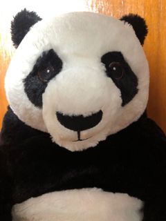 （分類：）位於 。 由 immoutta 提交（商品編號 1030407528，圖片 1）。簡介： 。