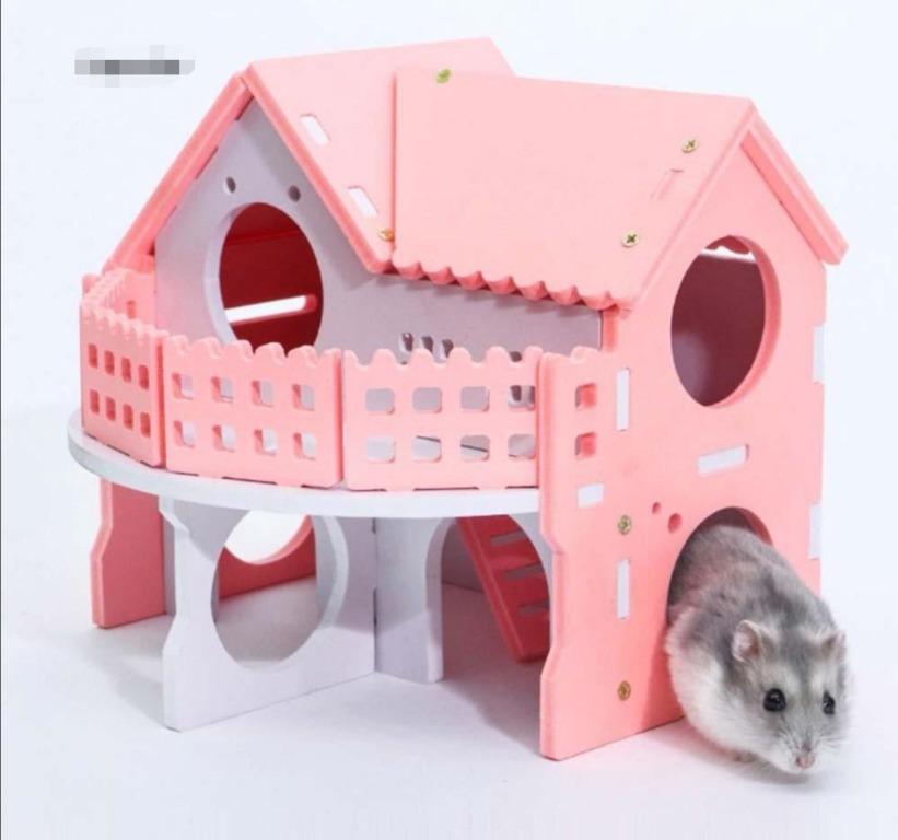 Diy cheap hamster slide