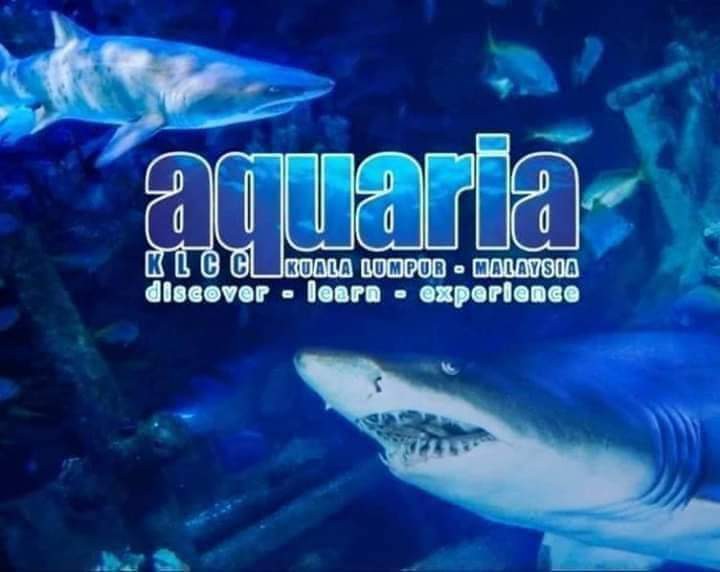 Entry ticket to Aquaria KLCC for mykad holder, Tickets & Vouchers