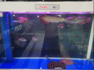 (Category: ) located in . Submitted by zhougg (Listing ID 1030524323, Image 1). Description: .