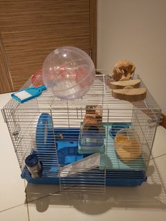 (Category: ) located in . Submitted by ploulee (Listing ID 1030399845, Image 1). Description: .