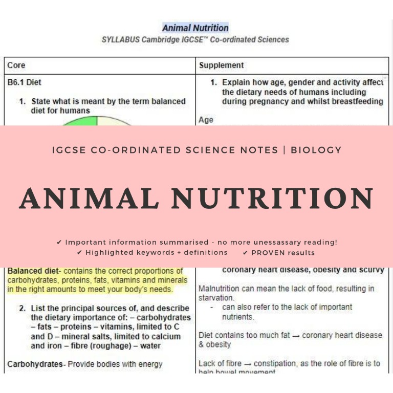 IGCSE BIO Notes Animal Nutrition Coordinated Sciences SYLLABUS