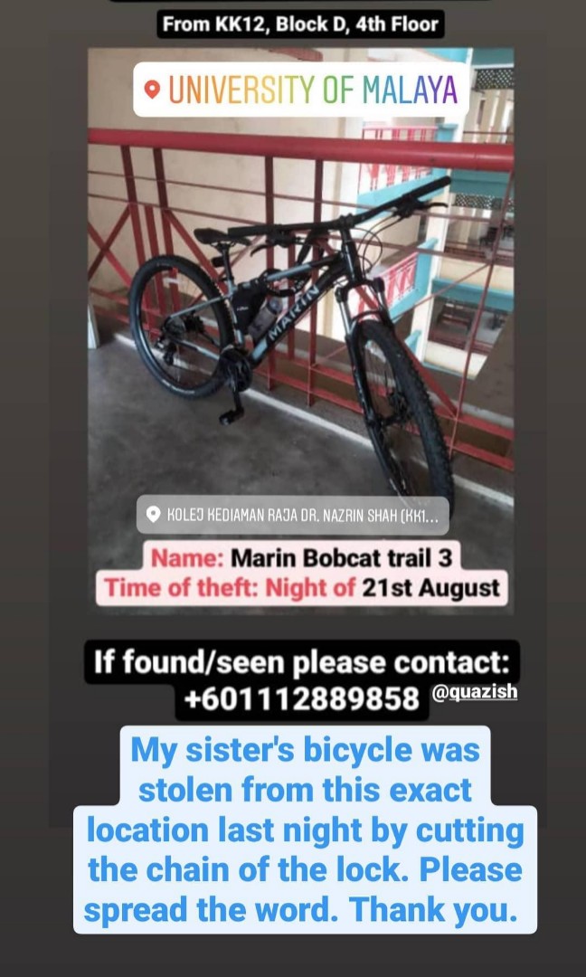 marin bobcat trail 3 price
