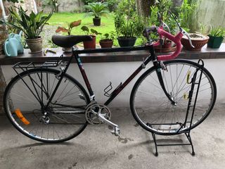 bianchi nyala price