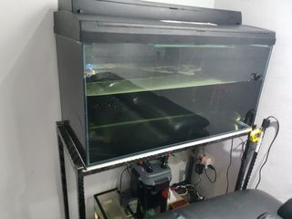 (Category: ) located in . Submitted by harrick (Listing ID 1030738042, Image 1). Description: .