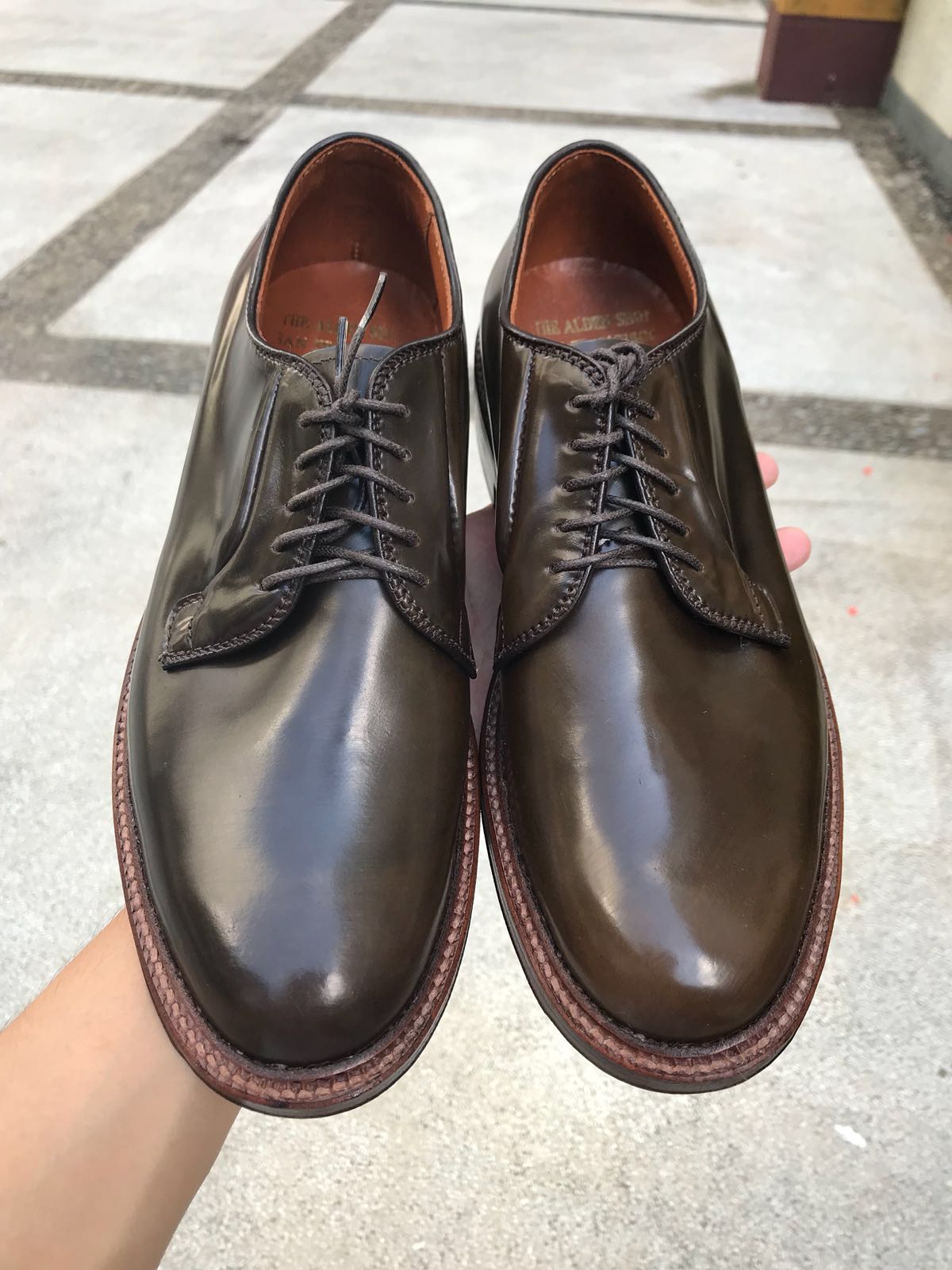 Alden cheap rare shell