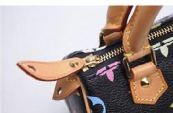Nano speedy / mini hl leather mini bag Louis Vuitton Multicolour in Leather  - 34935868